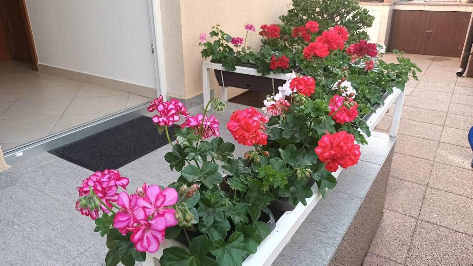 Apartment Marelja - Private Parking And Balcony Zadar Exterior foto